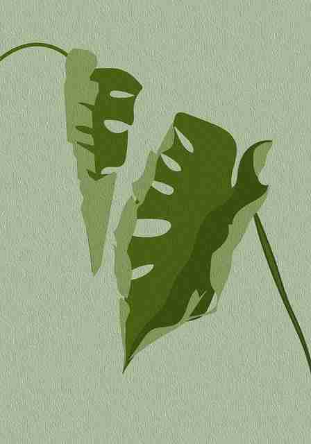 海角app——搜索优化体验分享全解