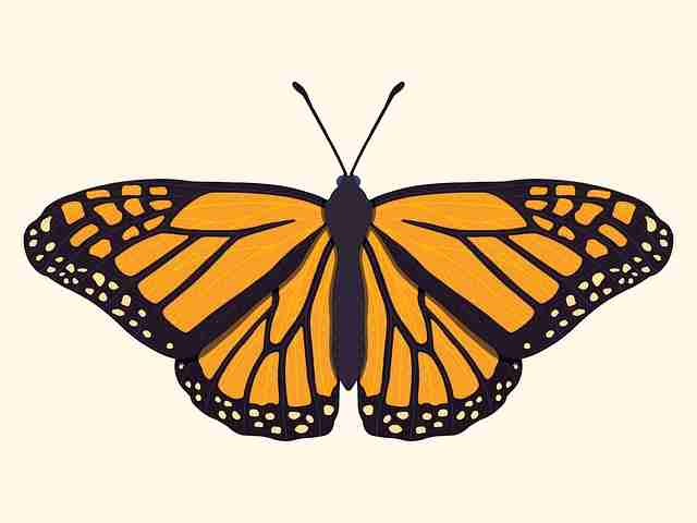 榴莲社区数据洞察·用户画像终极剖析(493 )