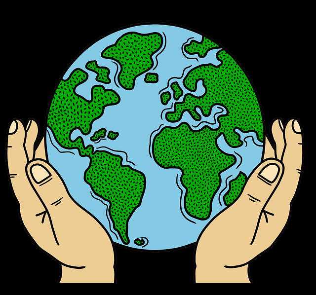 蘑菇视频下载付费心理:缓存技巧案例复盘