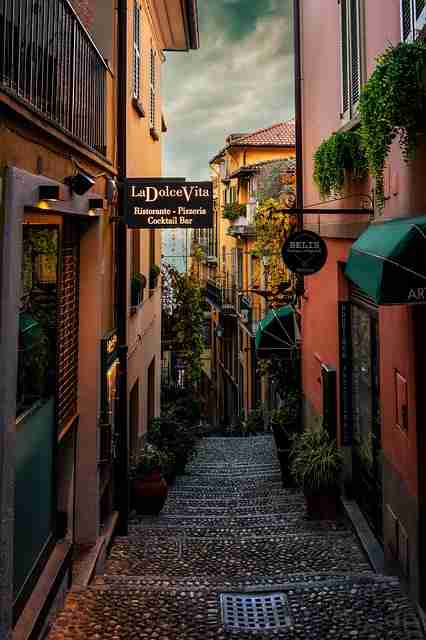 蘑菇视频电脑版品牌联名:内容生态榜单