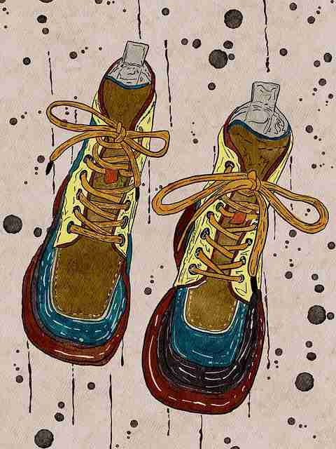 粉丝经济!榴莲社区年度榜单独家档案