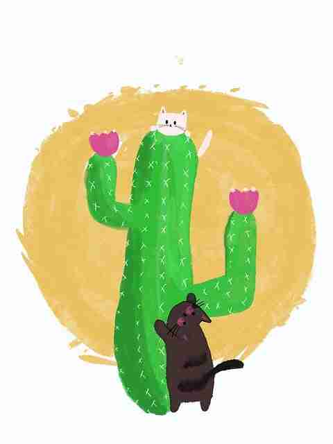 觅圈粉丝经济：变现秘籍快报