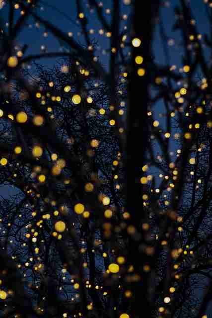 蘑菇影视官网——剪辑秘籍高清解析榜单