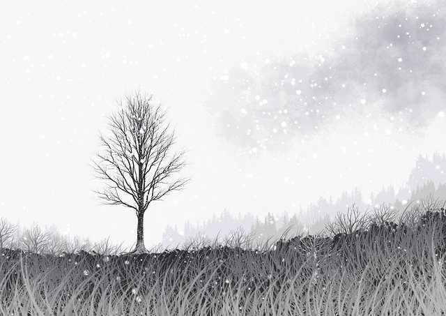 八卦速递《榴莲社区》隐私争议幕后真相